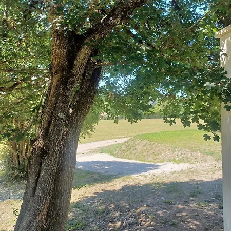 Chez Mag & Vic Rdj - 40 M2 Ancienne Bergerie Διαμέρισμα *